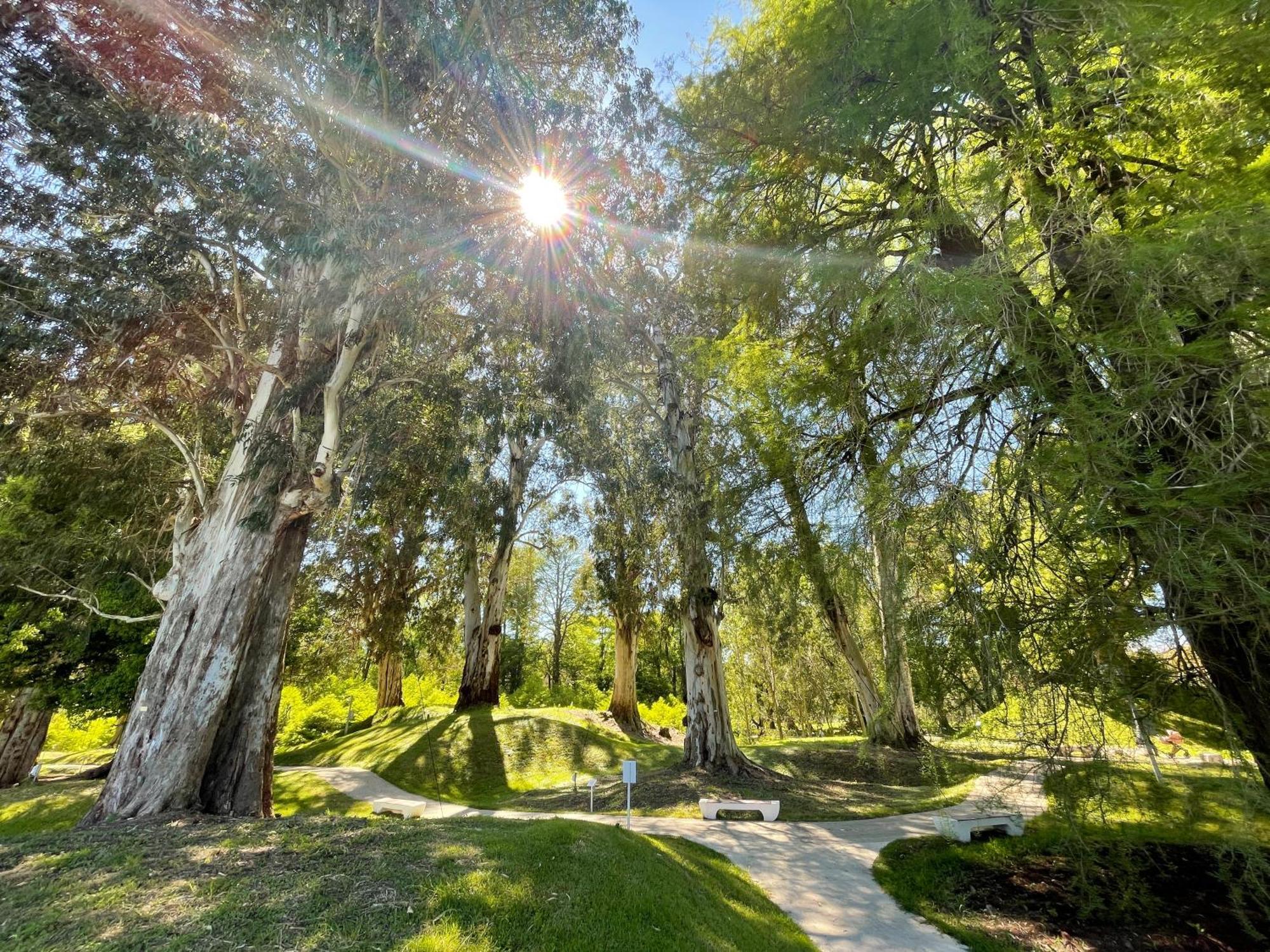 Villa Story Hotel Shekhvetili Zewnętrze zdjęcie